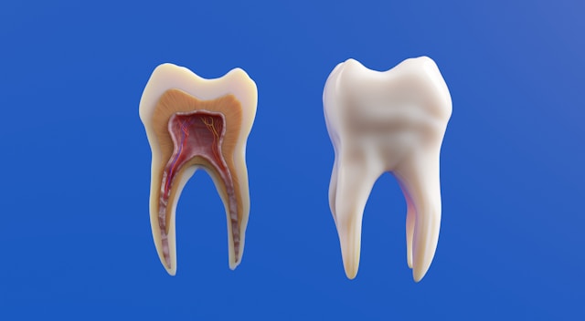 Periodontal (Gum Disease) Treatment in Albania: Options & Costs